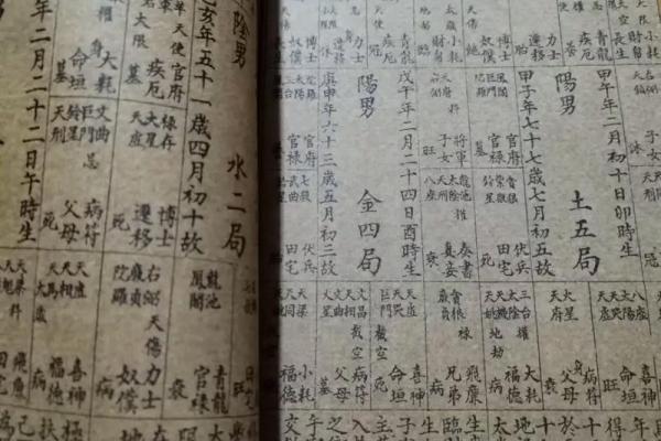免费在线紫微八字排盘，发现你的命运密码！