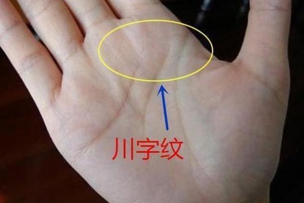 川字手相女人运势揭秘：究竟是好命还是苦命？