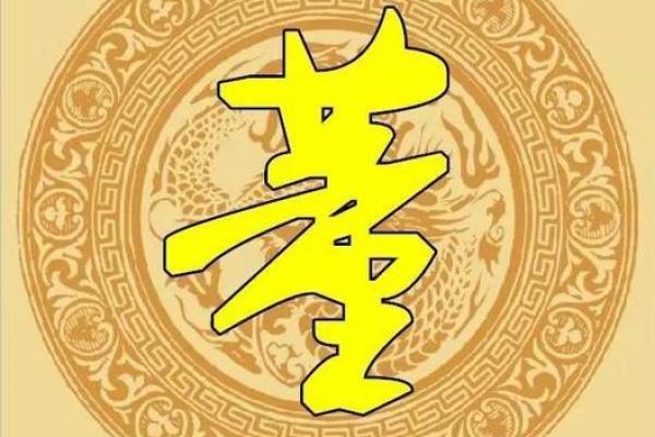 董字五行属什么？答案在这里