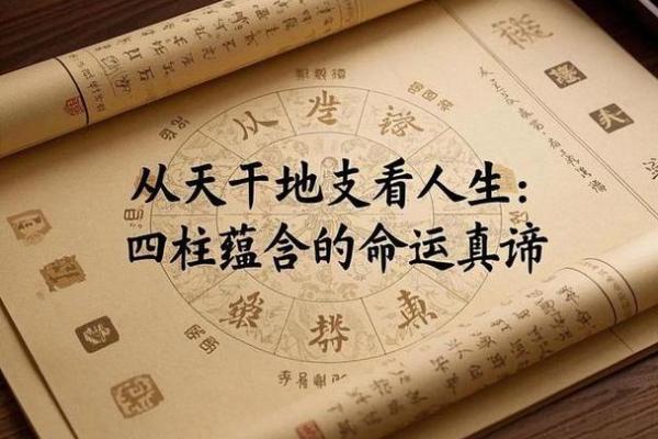 掌握天干四柱相生，提升人生运程