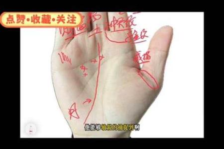 八字手相分析：如何通过手掌线条预测未来运势？
