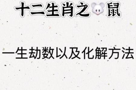 属相奥秘：狗鼠能否携手共度一生？