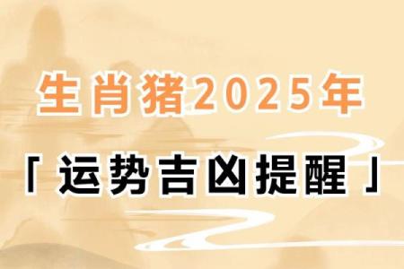 龙腾虎跃，猪年大吉——生肖运势盘点
