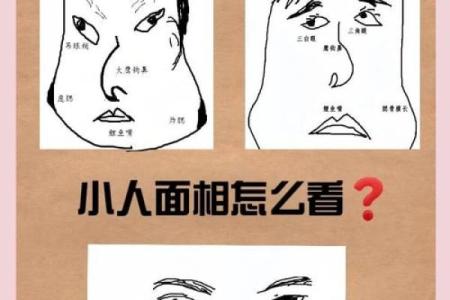 揭秘面相中的神秘密码：一眼识人，找对象必备攻略