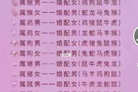 神秘蛇马组合，婚姻能否和谐？