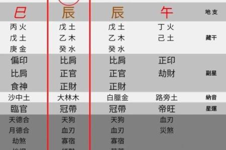 元亨梅花排盘揭秘：如何通过排盘预测未来命运？
