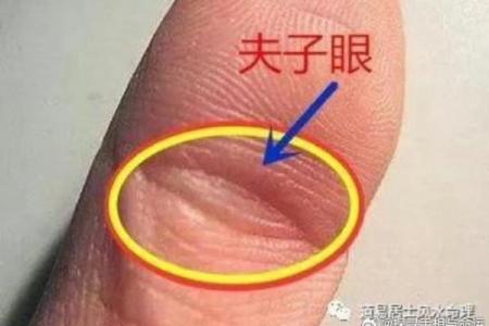 揭秘：男人手相中的秘密，让你一眼看穿他的命运和性格