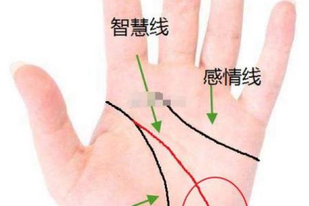 手相中的希望线：揭秘命运转折的神奇力量