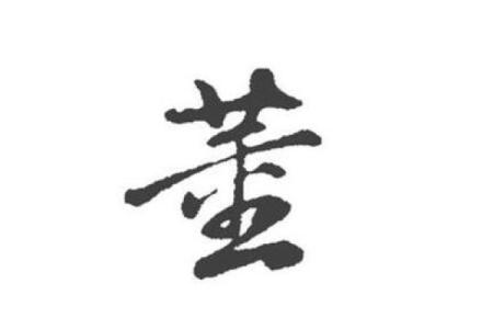 董字的五行属性与命运关系