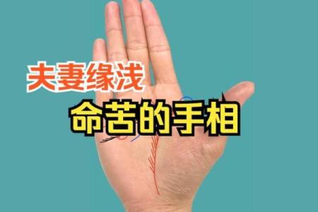 川字手相女人运势揭秘：究竟是好命还是苦命？