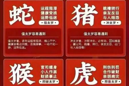 兔年吉星照，最适合你的属相揭晓