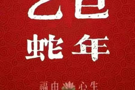 掌握天干四柱相生，提升人生运程