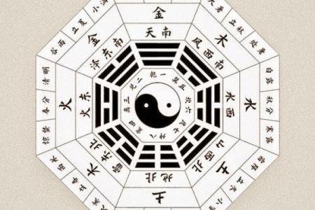 从八字图看人生，破解命运密码