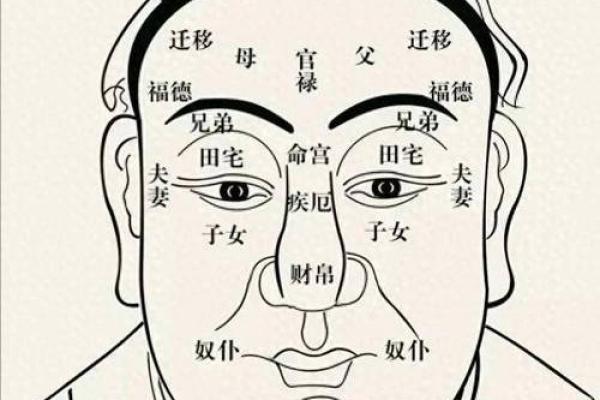 面相揭秘：一眼识破生死劫，你的面相藏着哪些伤亡信息？