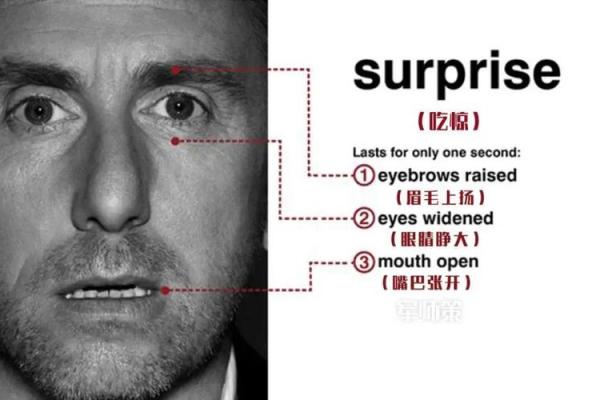 面相揭秘：一眼识破生死劫，你的面相藏着哪些伤亡信息？