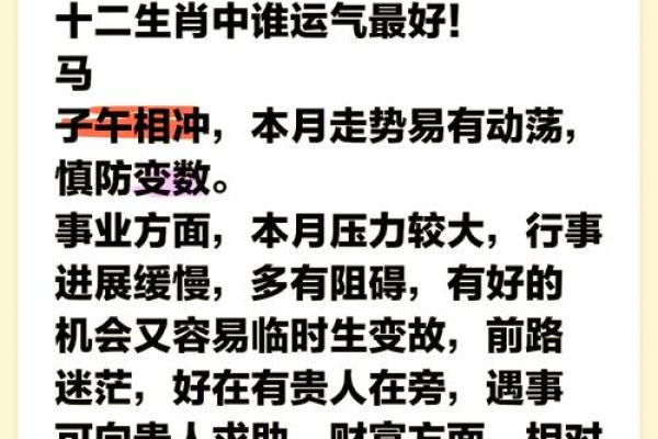 生肖运势大揭秘：谁将在这场生肖盛宴中脱颖而出？