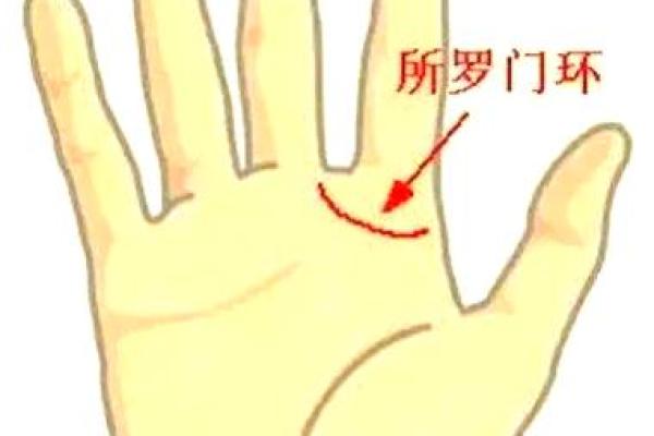 揭秘手相所罗门环：掌握命运秘密的神秘法则