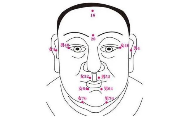 头部凸面相揭秘：财运亨通、福运连连的秘密面相