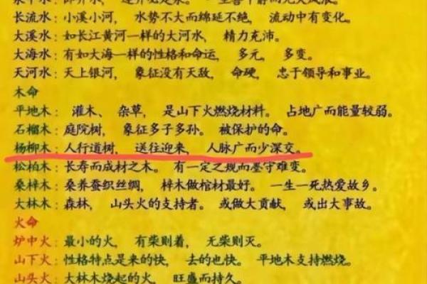 水中金命：揭秘神秘财富的传承密码