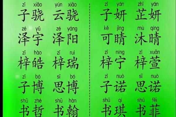 新手父母必看：新生儿起名技巧与建议