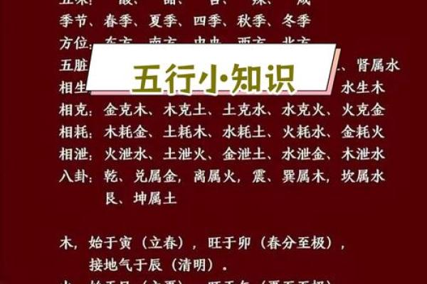 为何五楼在五行中有特殊意义？解密背后的文化密码