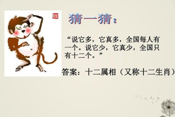 生肖揭秘：喜猜生肖，谁是你命中注定的另一半？
