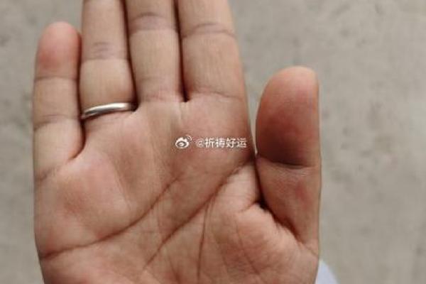 一梦手相奥秘，揭秘命运之谜