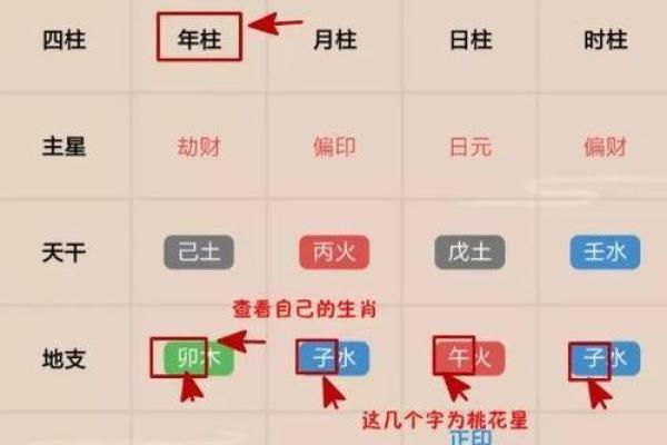 八字排盘免费解读：找到最适合你的事业与婚姻方向