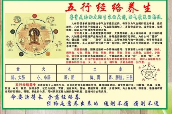 行属相到底代表什么？让你更懂自己