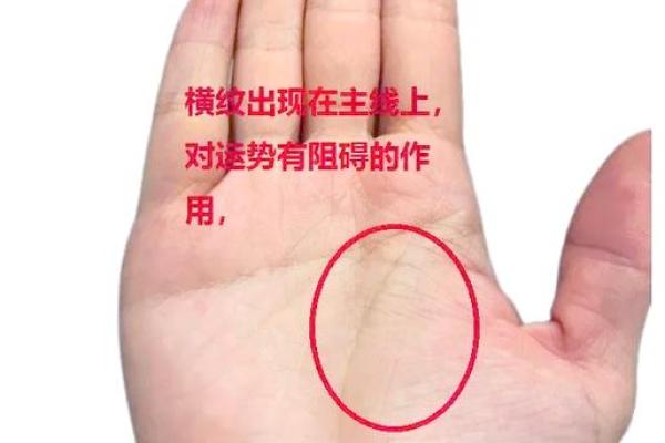 揭秘手相奥秘：五个手指分不开，预示着怎样的命运转折？