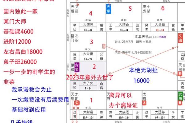 八字排盘飞星盘下载全攻略，轻松掌握运势变化