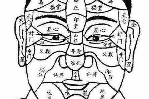 男性生殖面相揭秘：一眼看穿生育能力，揭秘男性生育秘密