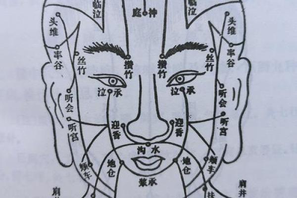 生肖相面秘诀：揭秘12生肖运势与面相的秘密