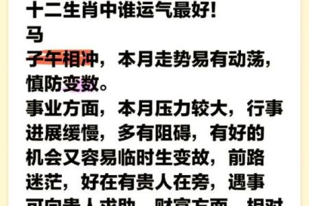 生肖运势大揭秘：谁将在这场生肖盛宴中脱颖而出？