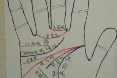 手纹手诊如何影响你的命运走向