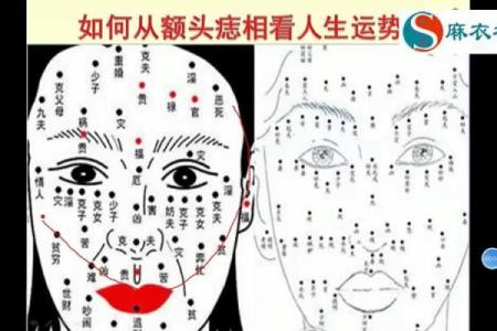 痣相夫人独家解读：你的痣相预示了什么？