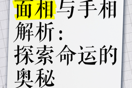 一梦手相奥秘，揭秘命运之谜