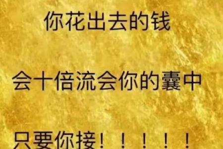 生肖发财：财富滚滚来，财运亨通的一年