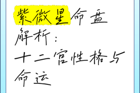 紫微排盘详解：破解命运中的隐藏信息