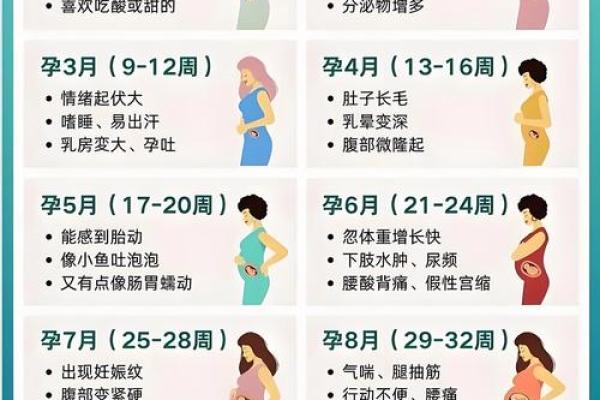 八字揭秘：如何从命理看怀孕的时机与方式