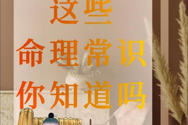 八字揭秘：如何从命理看怀孕的时机与方式
