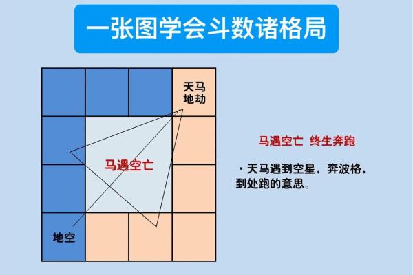 如何通过天纪紫微易经推命排盘精准预测未来，改变人生轨迹