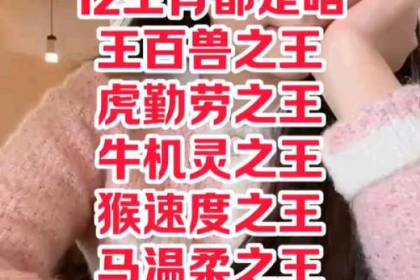 生肖之王：十二生肖的传奇征程