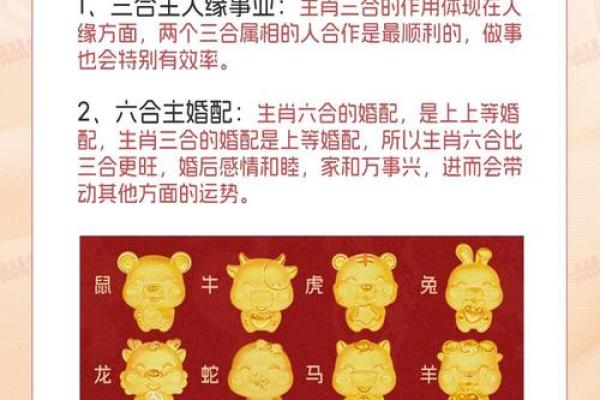 虎啸龙腾，猪马相随：揭秘三合生肖的神秘魅力