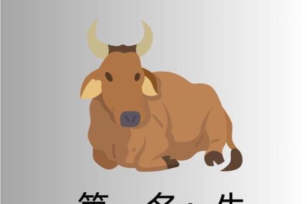 生肖命里藏富贵