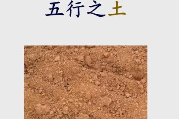 土在五行中代表什么