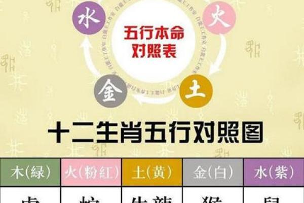 十二生肖专属幸运色，运势翻倍