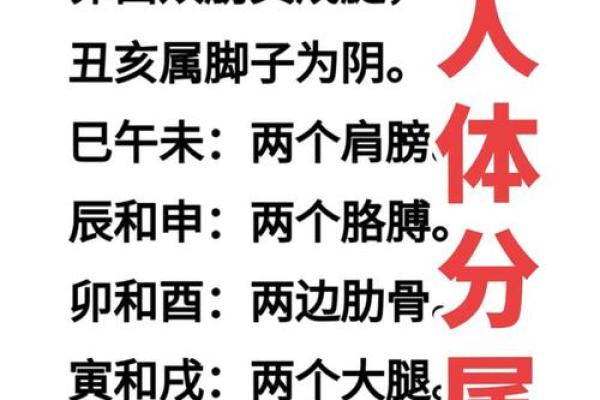 名字如何影响八字运势，揭开命理的神秘面纱