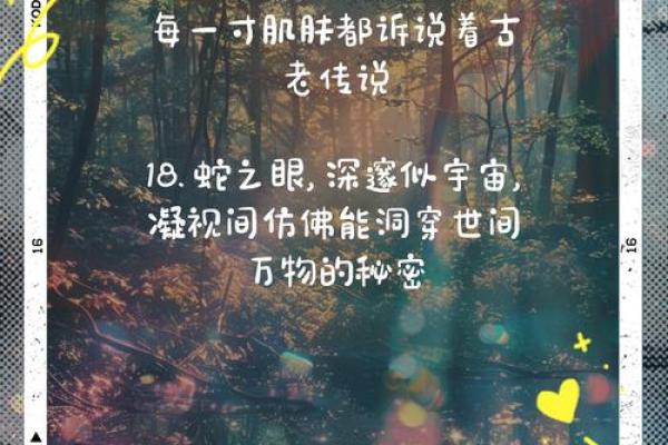 蛇男兔女：揭秘恋爱中的神秘魅力