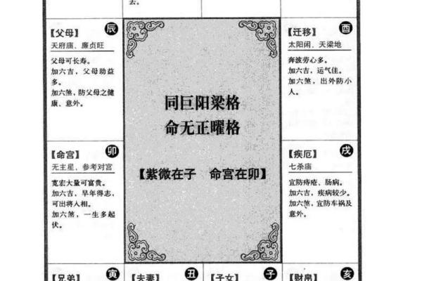 名人紫微命理揭秘：如何从命盘看出成功的密码